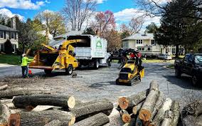 Best Tree Trimming and Pruning  in Hydesville, CA